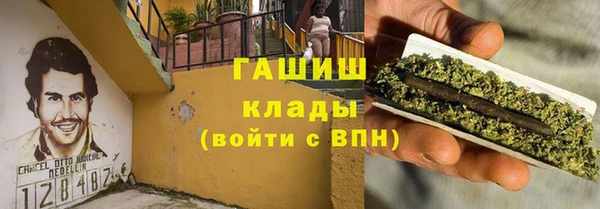прущие грибы Алзамай