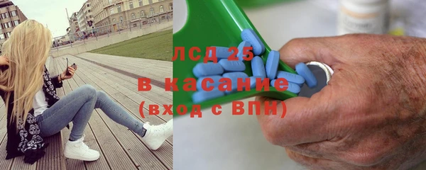 прущие грибы Алзамай